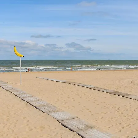 Mooi & Ruim Vakantie Met Zonnig Terras *